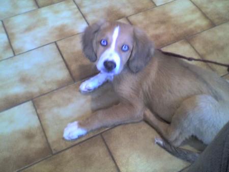 moka!
